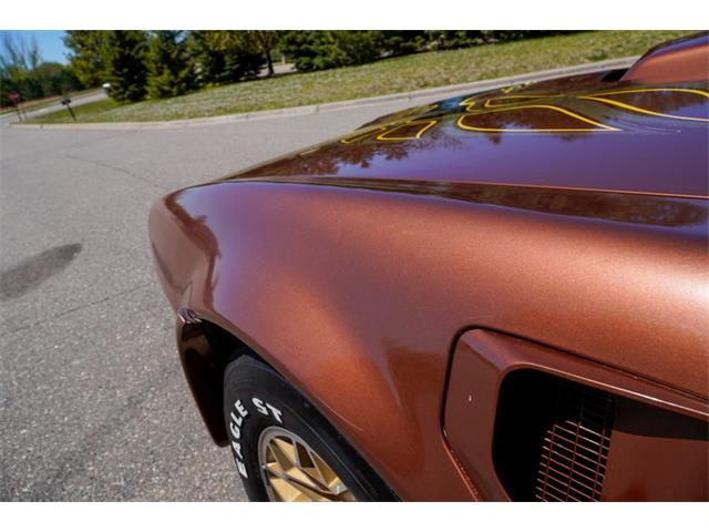 1978 Pontiac Firebird (CC-2072047) for sale in Ramsey, Minnesota