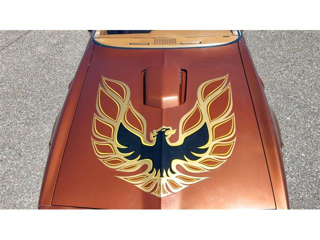 1978 Pontiac Firebird (CC-2072047) for sale in Ramsey, Minnesota