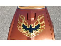 1978 Pontiac Firebird (CC-2072047) for sale in Ramsey, Minnesota