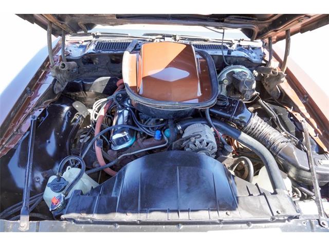 1978 Pontiac Firebird (CC-2072047) for sale in Ramsey, Minnesota
