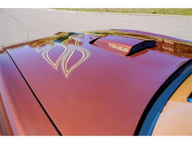 1978 Pontiac Firebird (CC-2072047) for sale in Ramsey, Minnesota