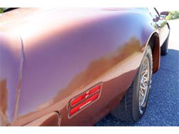 1978 Pontiac Firebird (CC-2072047) for sale in Ramsey, Minnesota