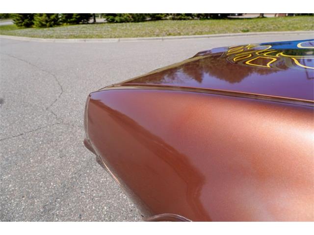 1978 Pontiac Firebird (CC-2072047) for sale in Ramsey, Minnesota