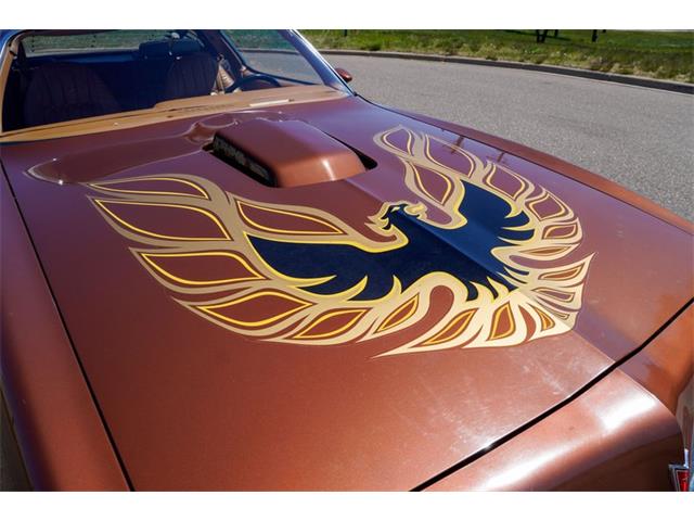 1978 Pontiac Firebird (CC-2072047) for sale in Ramsey, Minnesota