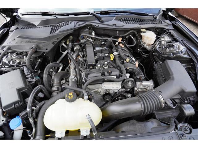 2021 Ford Mustang (CC-2072049) for sale in Ramsey, Minnesota