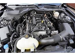 2021 Ford Mustang (CC-2072049) for sale in Ramsey, Minnesota