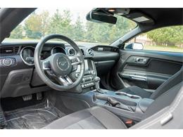 2021 Ford Mustang (CC-2072049) for sale in Ramsey, Minnesota