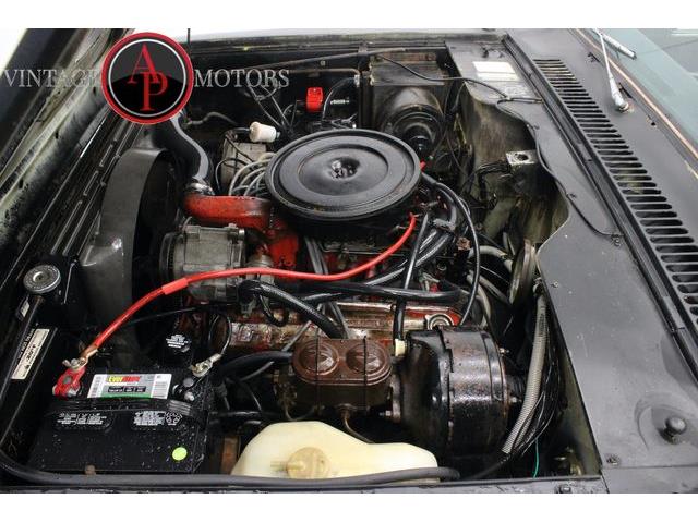 1978 International Scout (CC-2072058) for sale in Statesville, North Carolina