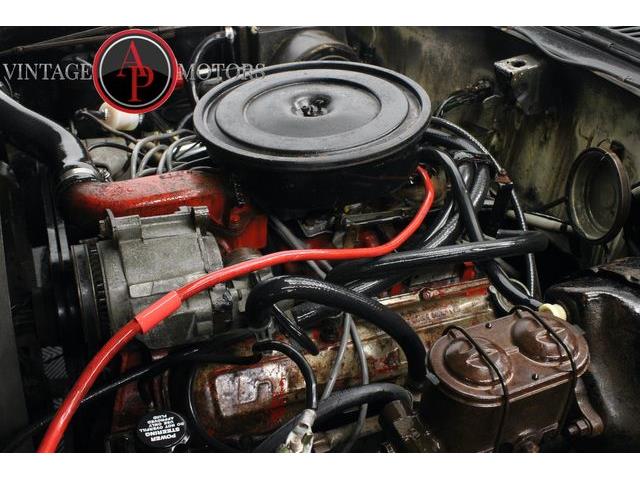 1978 International Scout (CC-2072058) for sale in Statesville, North Carolina