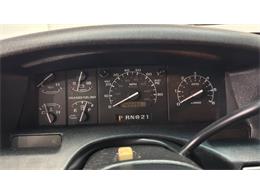 1995 Ford Bronco (CC-2072063) for sale in Clearwater, Florida