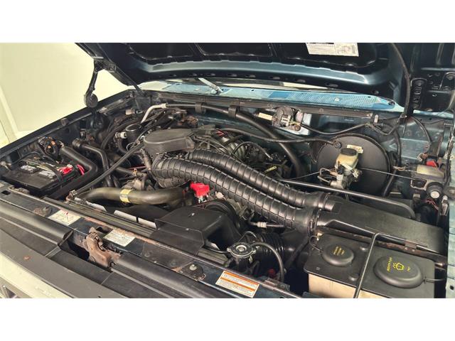 1995 Ford Bronco (CC-2072063) for sale in Clearwater, Florida