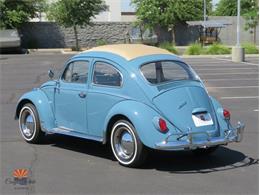 1968 Volkswagen Beetle (CC-2072064) for sale in Mesa, Arizona