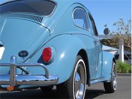 1968 Volkswagen Beetle (CC-2072064) for sale in Mesa, Arizona