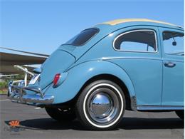 1968 Volkswagen Beetle (CC-2072064) for sale in Mesa, Arizona