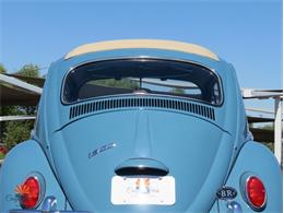 1968 Volkswagen Beetle (CC-2072064) for sale in Mesa, Arizona