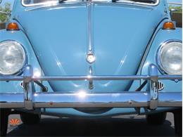 1968 Volkswagen Beetle (CC-2072064) for sale in Mesa, Arizona