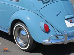 1968 Volkswagen Beetle (CC-2072064) for sale in Mesa, Arizona