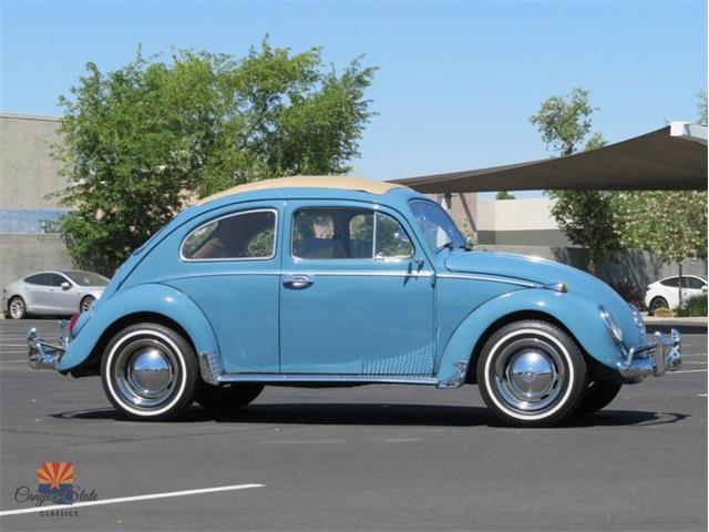 1968 Volkswagen Beetle (CC-2072064) for sale in Mesa, Arizona