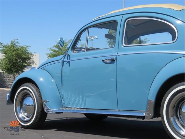 1968 Volkswagen Beetle (CC-2072064) for sale in Mesa, Arizona