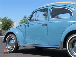 1968 Volkswagen Beetle (CC-2072064) for sale in Mesa, Arizona