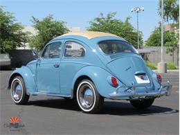 1968 Volkswagen Beetle (CC-2072064) for sale in Mesa, Arizona