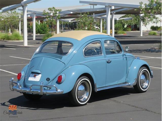 1968 Volkswagen Beetle (CC-2072064) for sale in Mesa, Arizona