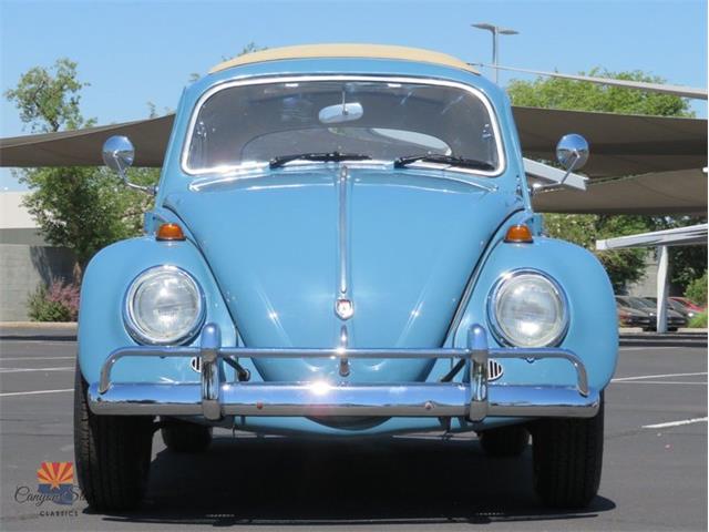 1968 Volkswagen Beetle (CC-2072064) for sale in Mesa, Arizona