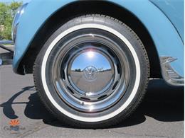 1968 Volkswagen Beetle (CC-2072064) for sale in Mesa, Arizona