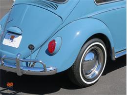 1968 Volkswagen Beetle (CC-2072064) for sale in Mesa, Arizona