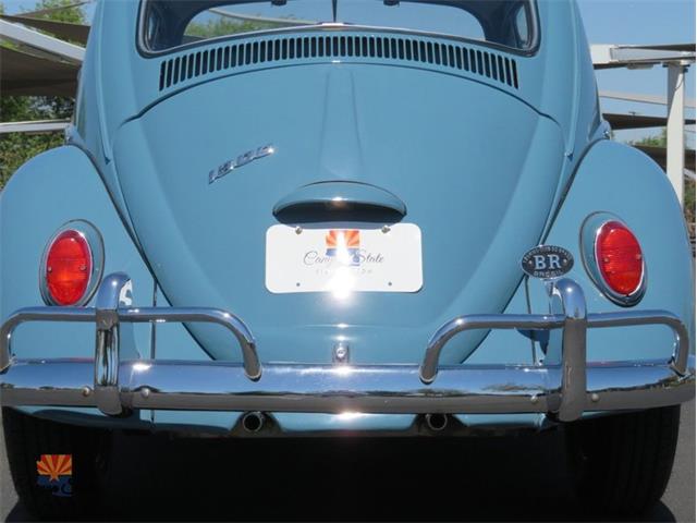1968 Volkswagen Beetle (CC-2072064) for sale in Mesa, Arizona