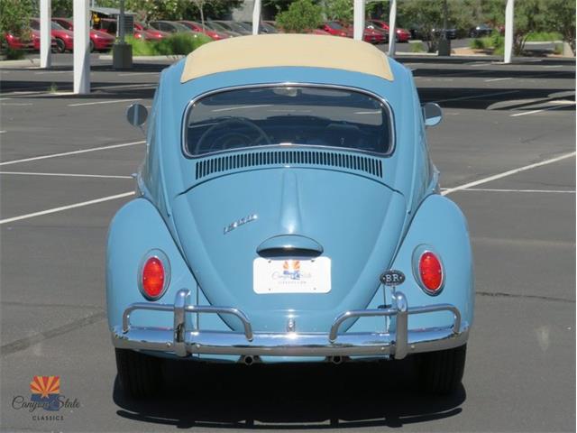1968 Volkswagen Beetle (CC-2072064) for sale in Mesa, Arizona