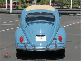 1968 Volkswagen Beetle (CC-2072064) for sale in Mesa, Arizona