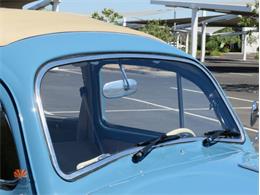 1968 Volkswagen Beetle (CC-2072064) for sale in Mesa, Arizona