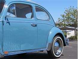 1968 Volkswagen Beetle (CC-2072064) for sale in Mesa, Arizona