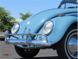 1968 Volkswagen Beetle (CC-2072064) for sale in Mesa, Arizona