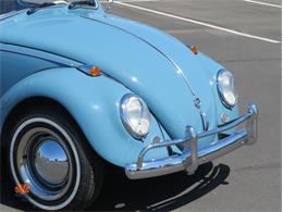 1968 Volkswagen Beetle (CC-2072064) for sale in Mesa, Arizona