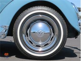 1968 Volkswagen Beetle (CC-2072064) for sale in Mesa, Arizona
