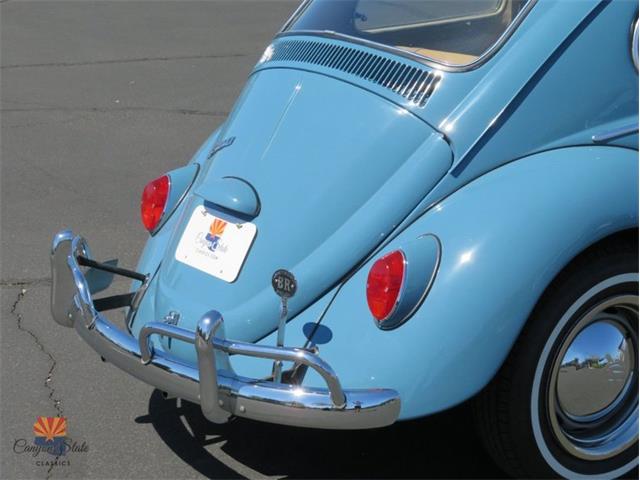 1968 Volkswagen Beetle (CC-2072064) for sale in Mesa, Arizona