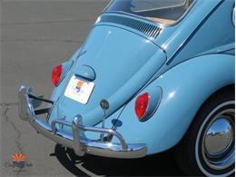 1968 Volkswagen Beetle (CC-2072064) for sale in Mesa, Arizona