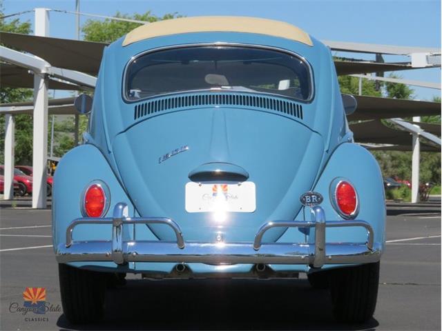 1968 Volkswagen Beetle (CC-2072064) for sale in Mesa, Arizona