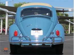 1968 Volkswagen Beetle (CC-2072064) for sale in Mesa, Arizona