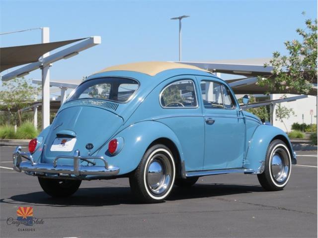 1968 Volkswagen Beetle (CC-2072064) for sale in Mesa, Arizona