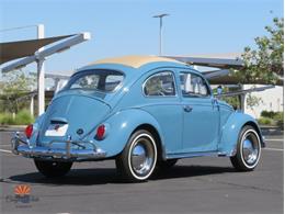 1968 Volkswagen Beetle (CC-2072064) for sale in Mesa, Arizona