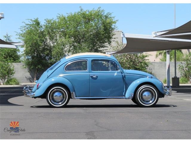 1968 Volkswagen Beetle (CC-2072064) for sale in Mesa, Arizona
