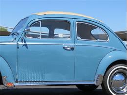 1968 Volkswagen Beetle (CC-2072064) for sale in Mesa, Arizona
