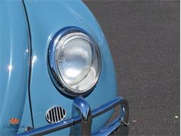 1968 Volkswagen Beetle (CC-2072064) for sale in Mesa, Arizona