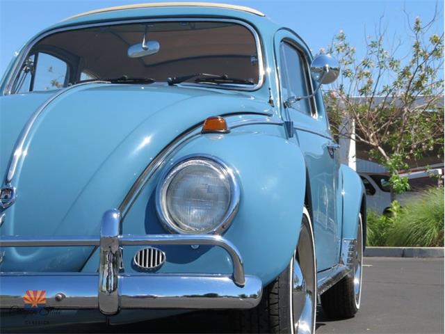 1968 Volkswagen Beetle (CC-2072064) for sale in Mesa, Arizona