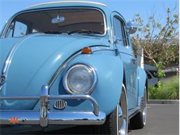 1968 Volkswagen Beetle (CC-2072064) for sale in Mesa, Arizona