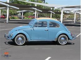 1968 Volkswagen Beetle (CC-2072064) for sale in Mesa, Arizona