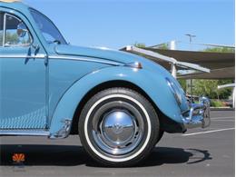 1968 Volkswagen Beetle (CC-2072064) for sale in Mesa, Arizona
